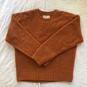 Everlane Teddy Crew Neck Sweater in Cider (M)